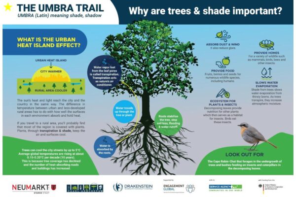 Trees & Shade Important?